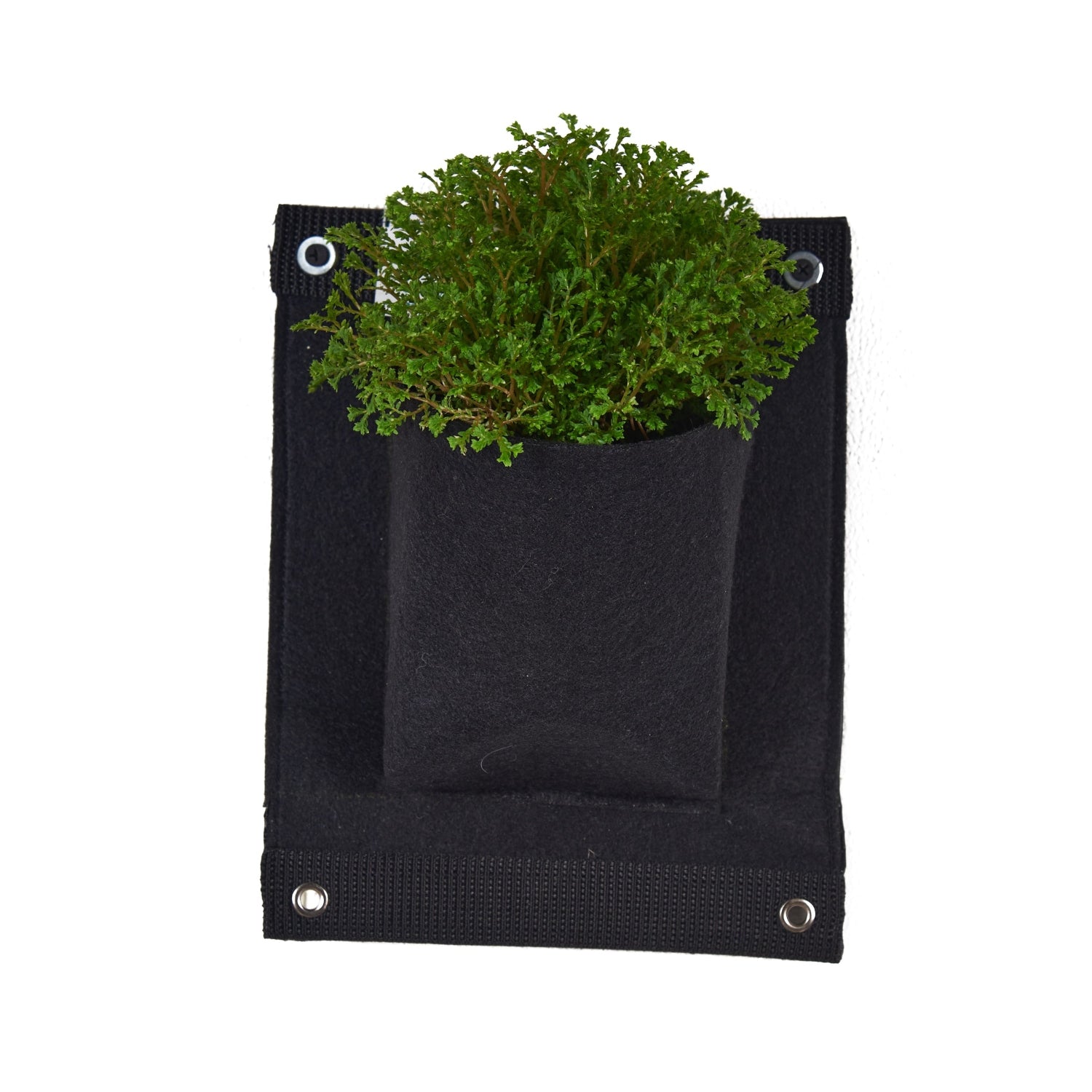 Bolsa de Cultivo para Jardín Vertical 1 Bolsillo de 20cm X 25cm