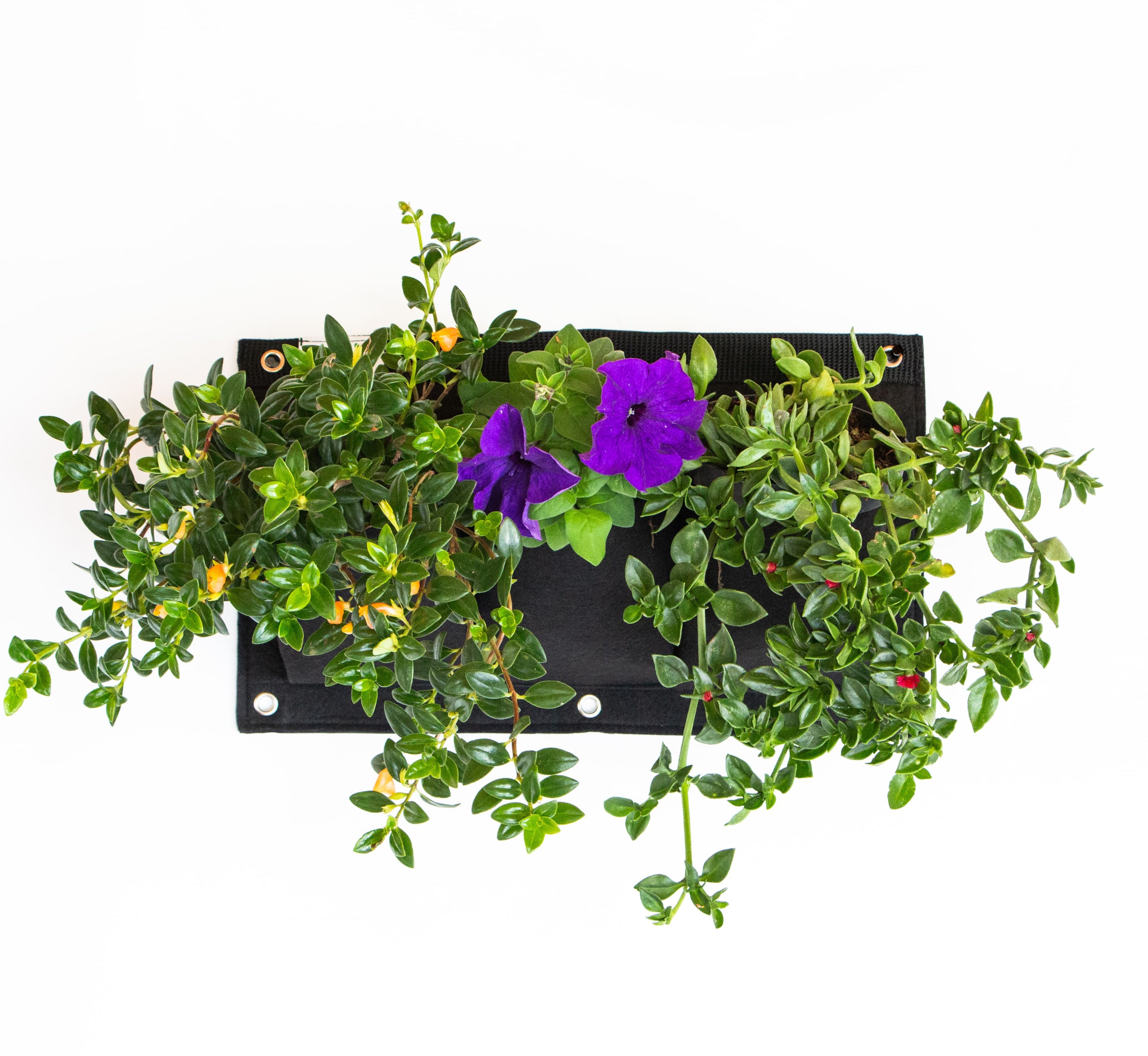 Bolsa de Cultivo para Jardín Vertical Horizontal 3 Bolsillos de 44cm X 25cm