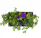 Bolsa de Cultivo para Jardín Vertical Horizontal 3 Bolsillos de 44cm X 25cm