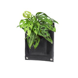 Bolsa de Cultivo para Jardín Vertical 1 Bolsillo de 20cm X 25cm