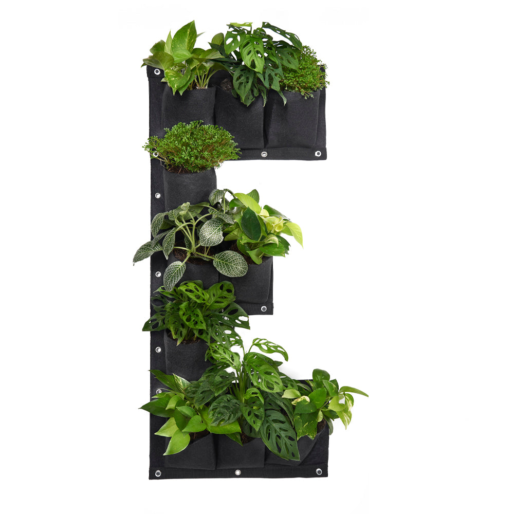 Bolsa de cultivo En Letras de 44cm x 100cm