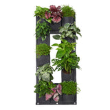 Bolsa de cultivo En Letras de 44cm x 100cm