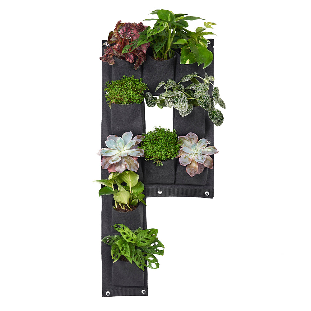 Bolsa de cultivo En Letras de 44cm x 100cm