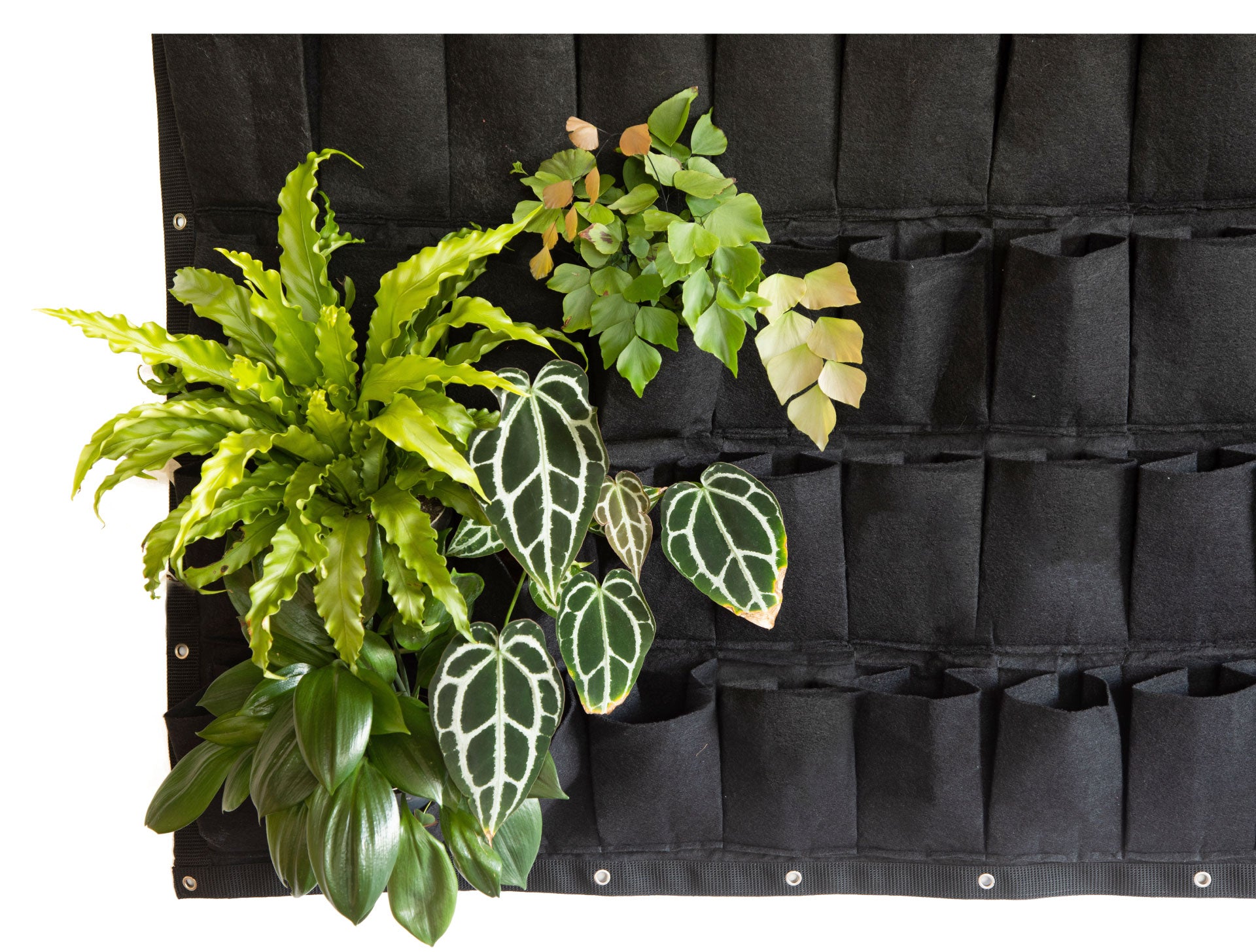 Bolsa de Cultivo para Jardín Vertical 60 Bolsillos de 150cm X 100cm