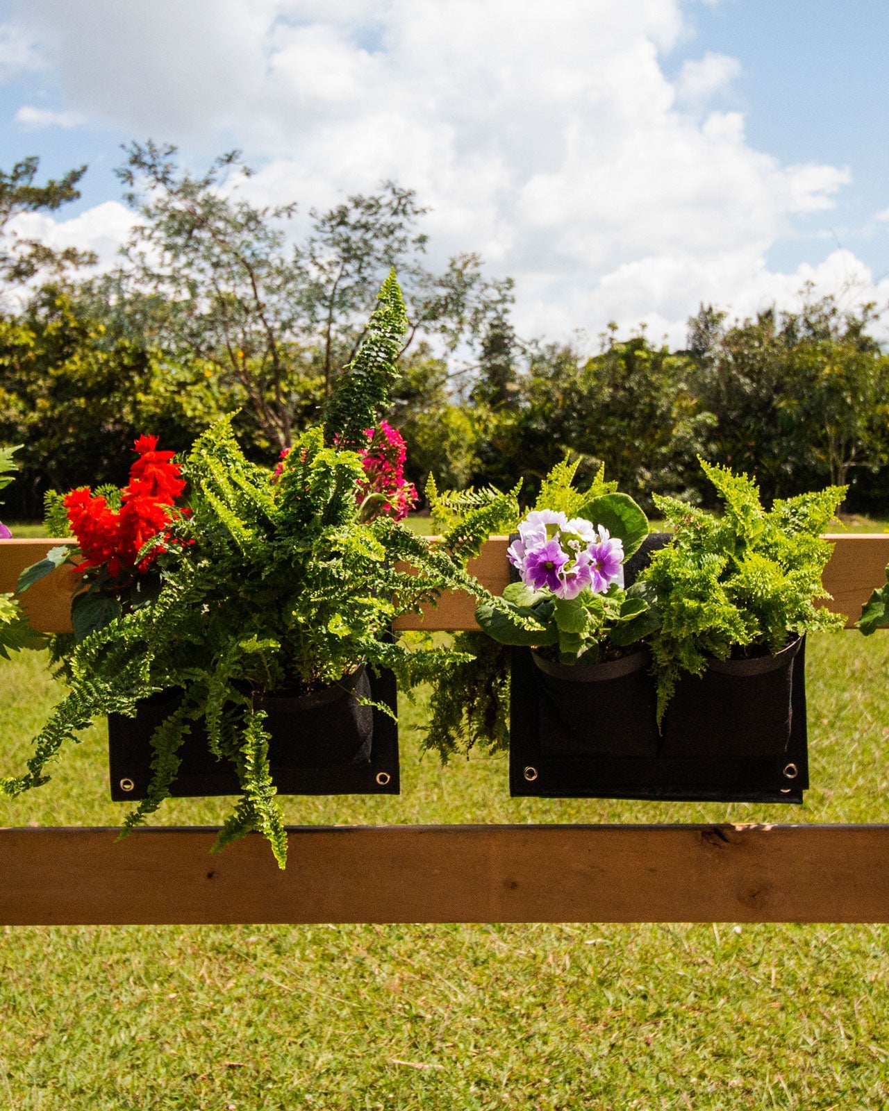 Bolsa de Cultivo de balcón x 4 bolsillos