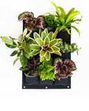 Bolsa de Cultivo para Jardín Vertical 9 Bolsillos de 44cm X 63cm