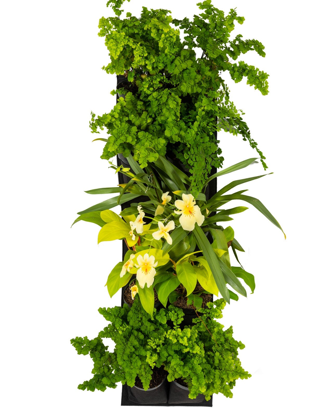 Bolsas de Cultivo para Jardín Vertical 10 Bolsillos de 32cm X 100cm