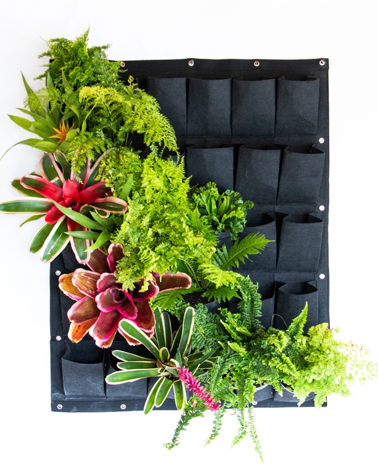 Bolsa de Cultivo para Jardín Vertical 30 Bolsillos de 80cm X 100cm