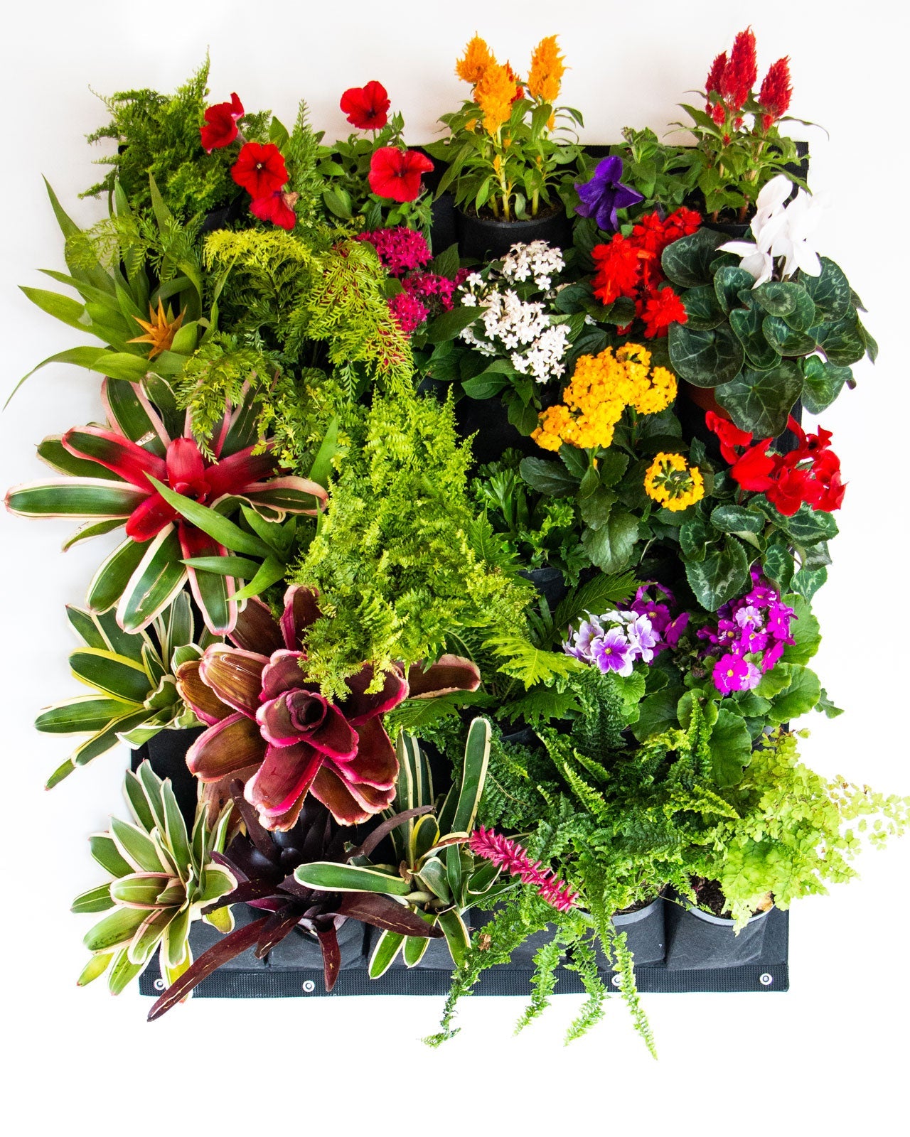 Bolsa de Cultivo para Jardín Vertical 30 Bolsillos de 80cm X 100cm