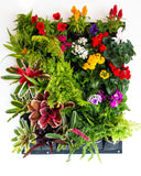 Bolsa de Cultivo para Jardín Vertical 30 Bolsillos de 80cm X 100cm