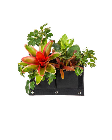 Vertical Wall Garden x 2 Pockets of 32cm X 25cm