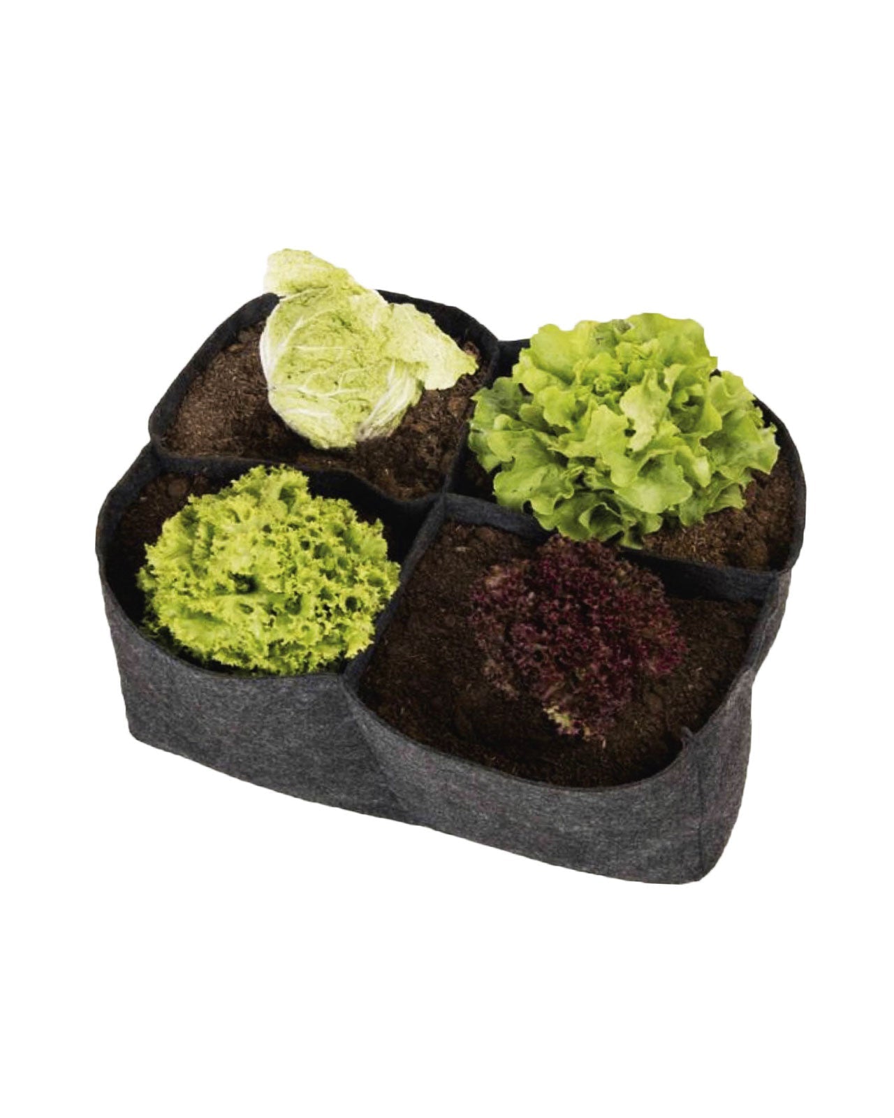 Bolsa de Cultivo Huerta de piso x 4